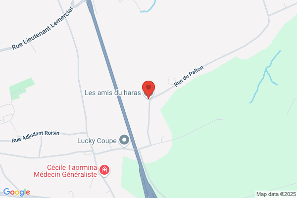 Centre Equestre Du Terril