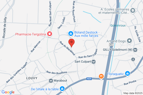 Transports Basse Sambre Scs