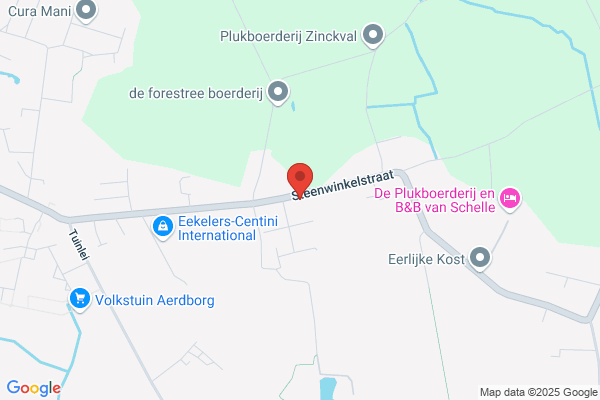 Van Meerbergen/J.