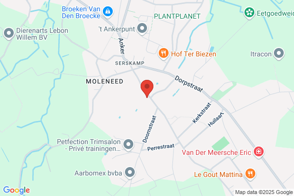 Image Kapsalon