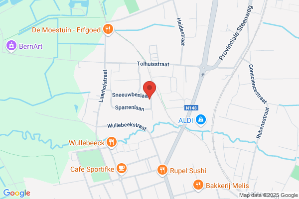 De Paepe-Wildiers
