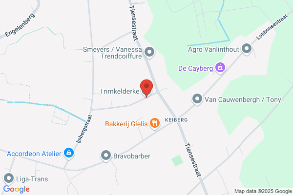 Trimkelderke
