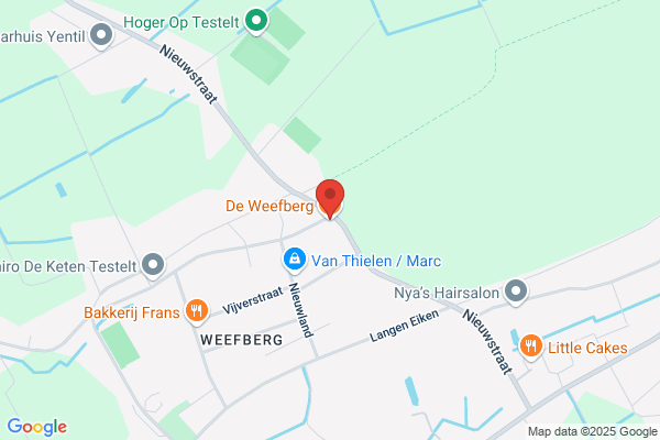 De Wijs/J.