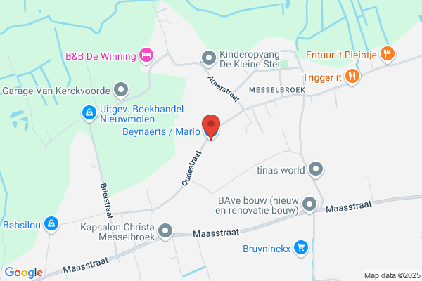 Beynaerts-Vansteyvoort/M.