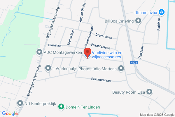 Videnci Bvba