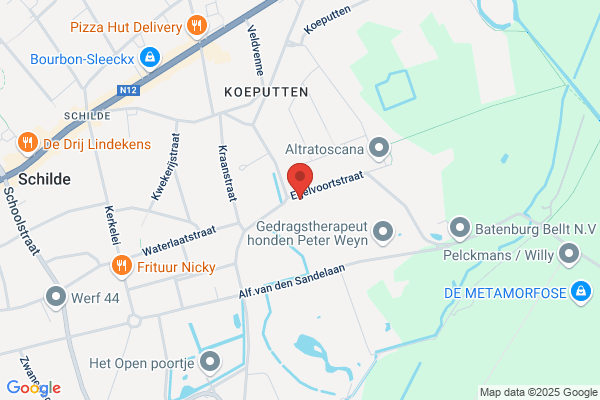Beernaert P