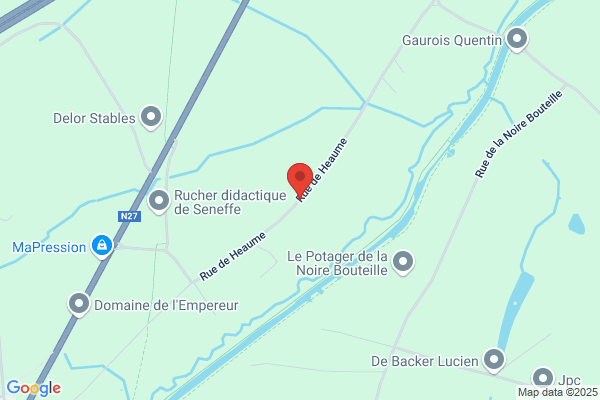 Demeulemeester C