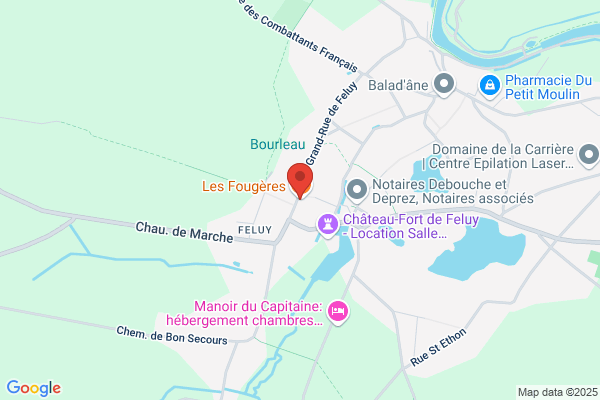 Les Fougères