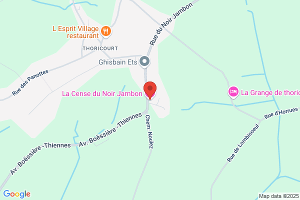 Chanoine M