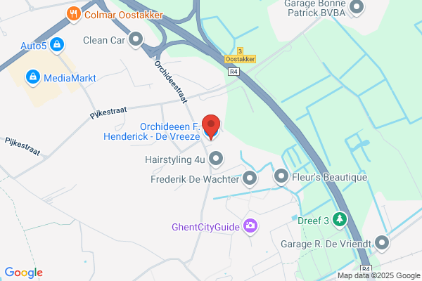 Orchideeën Petrens & Co.