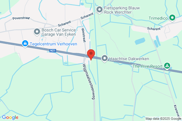Liesbeth Weynants