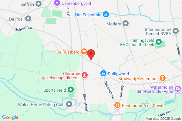 Evenepoel Sa
