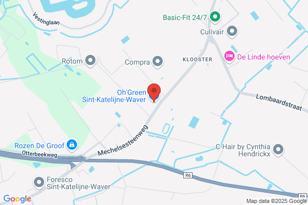 Liekens/Hugo