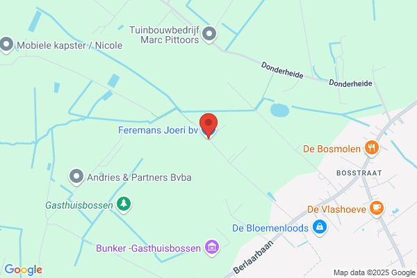 Feremans R.