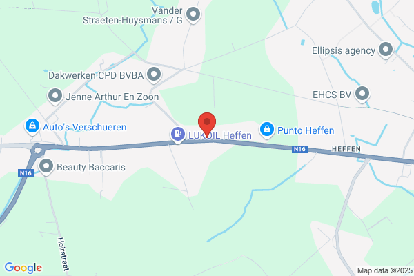 Geerts M