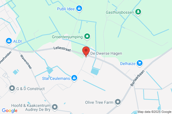 De Dwerse Hagen Bvba