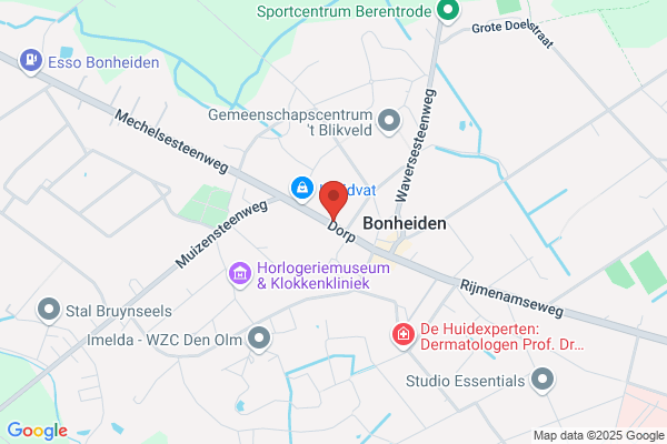 Biesemans P.