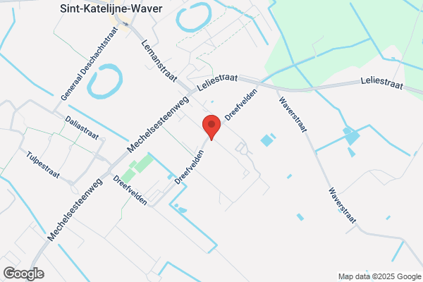 Eyckmans-Van De Wouwer/B.