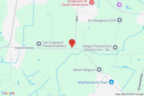 Verbinnen/Francois