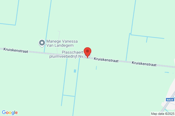 Plasschaert N.