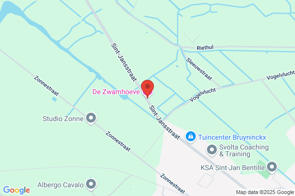 Zwamhoeve Plasschaart