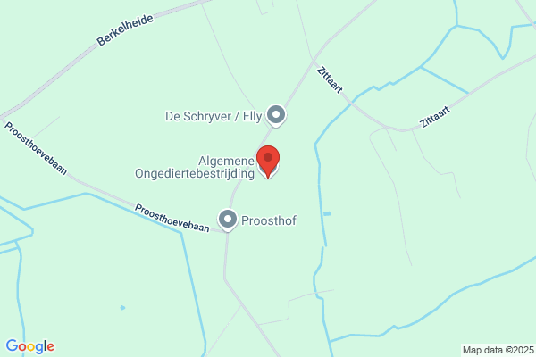 Algemene Antwerpse Ontsmettingen Ongediertebestrijding