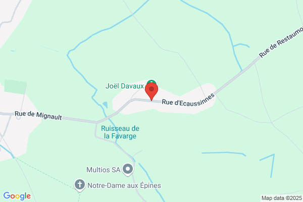 De Vos D