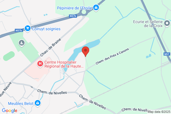 Club Spécial De Chiens De Sauvetage
