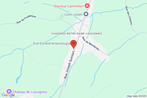 P Van Driessche Expertises