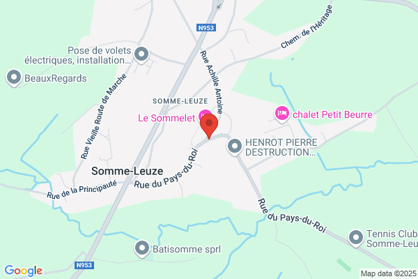 Au Pays Du Roi Asbl