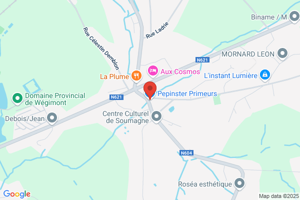 Stainier/Pierre