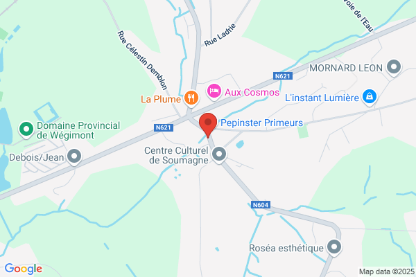 Signal (Librairie)