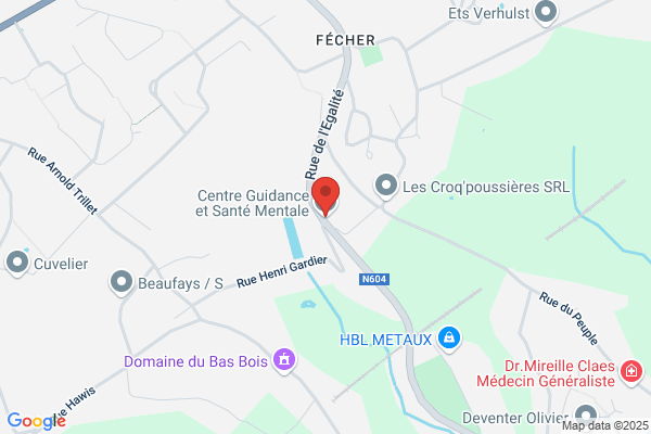 Centre Guidance Et Santé Mentale