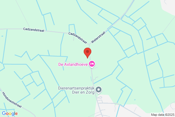 Ams