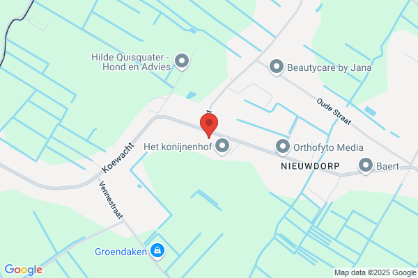 Ruimdienst Ringoot