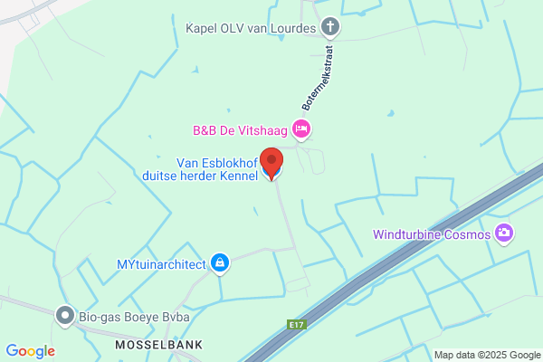 Schipperkes Kennel Van 't Malpertushof