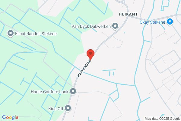 Pleisterwerken Matthijs
