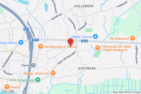 Lieve Holvoet