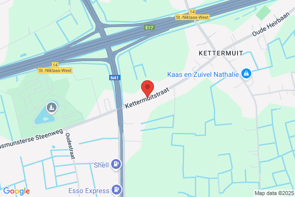 Polfliet T