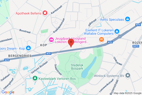 M.T. Trans