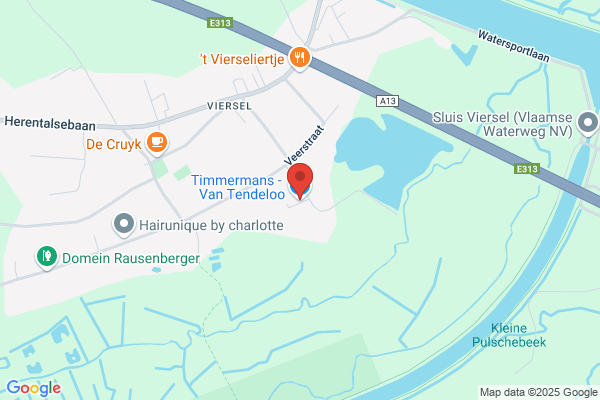 Timmermans-Van Loo V.