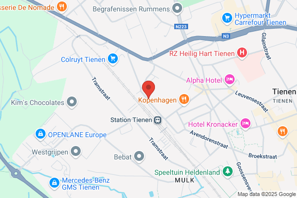 Hommelen V
