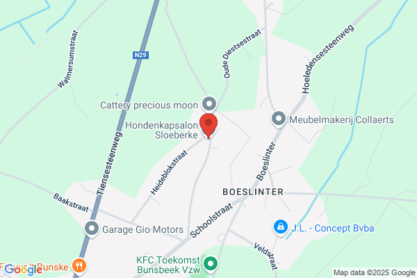 Sloeberke