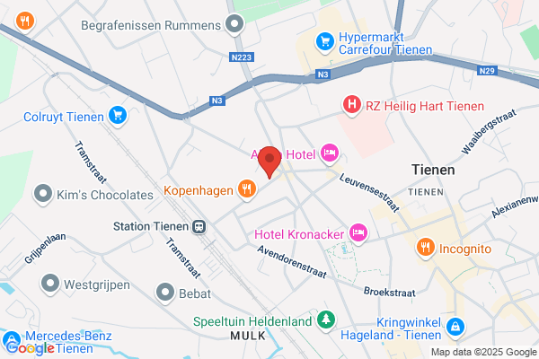 Bloemen Jasmijn