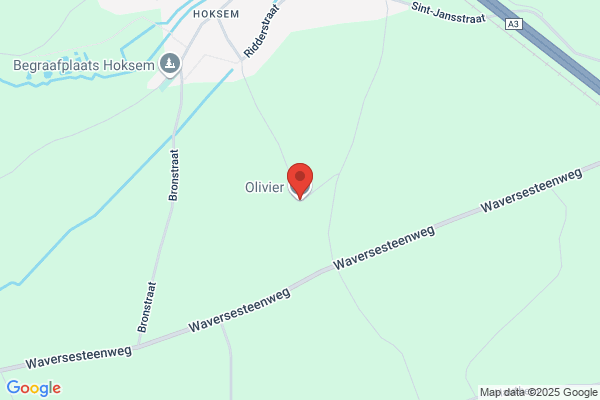 Oliviers