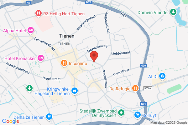 Diocesane Instituten Tienen
