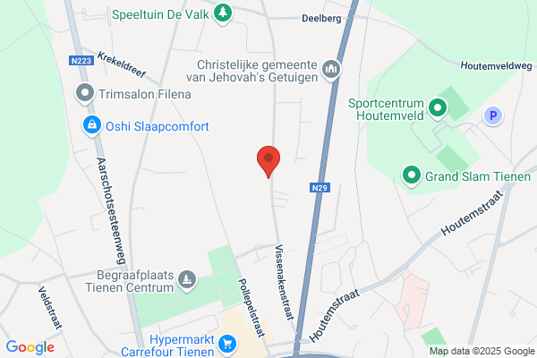 Maes L