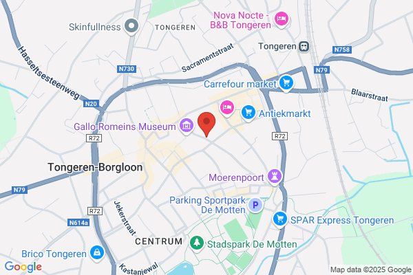 rechtbank van koophandeml Tongeren