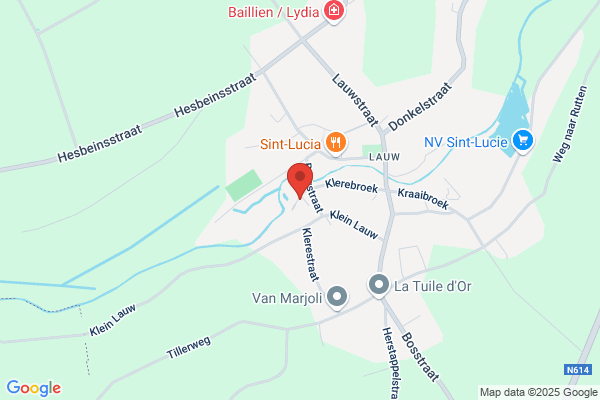Buckinx Leslie Ebvba