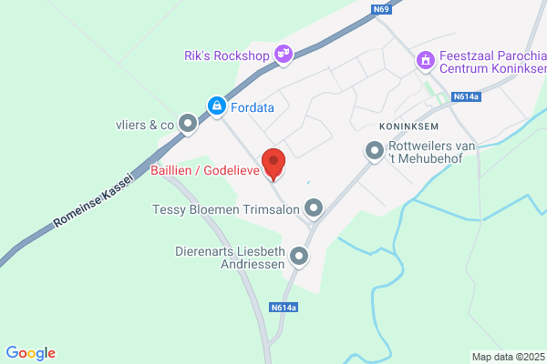 Baillien/Godelieve